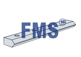 FMS